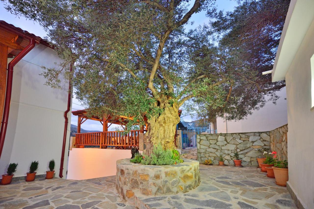 Plokamos House Villa Plokamiana ภายนอก รูปภาพ